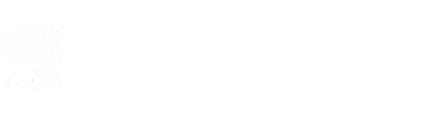 Brain Channel