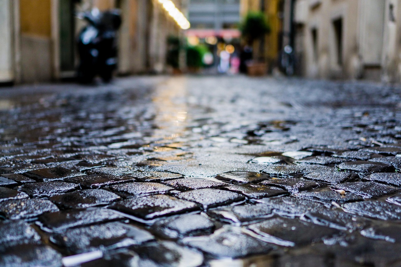 Wie­so rie­chen Regen und Erde nach einem Som­mer­re­gen so beson­ders?