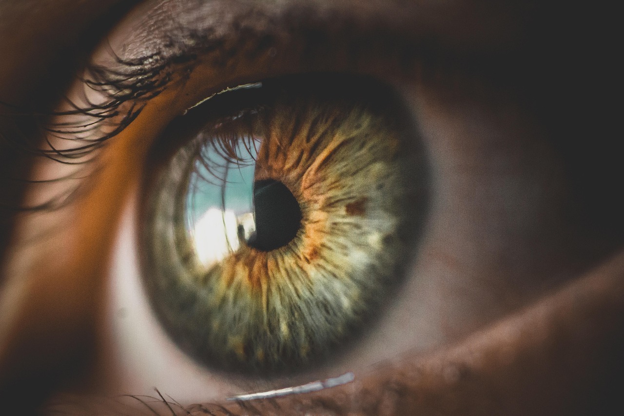 War­um haben Men­schen unter­schied­li­che Augen­far­ben?